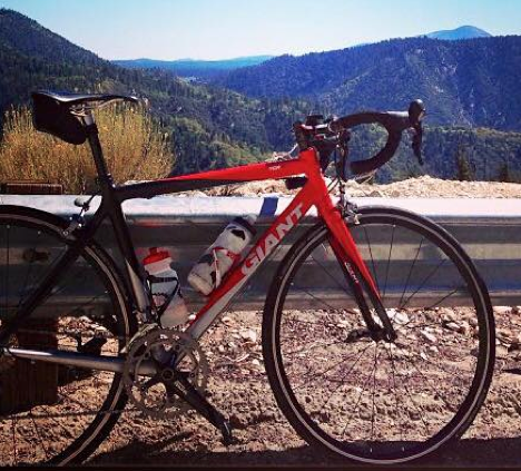 Giant TCR Red, Black, and Silver or Gray