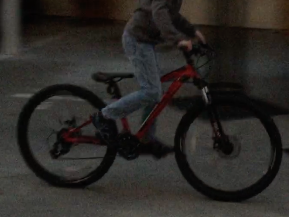 Jamis Red