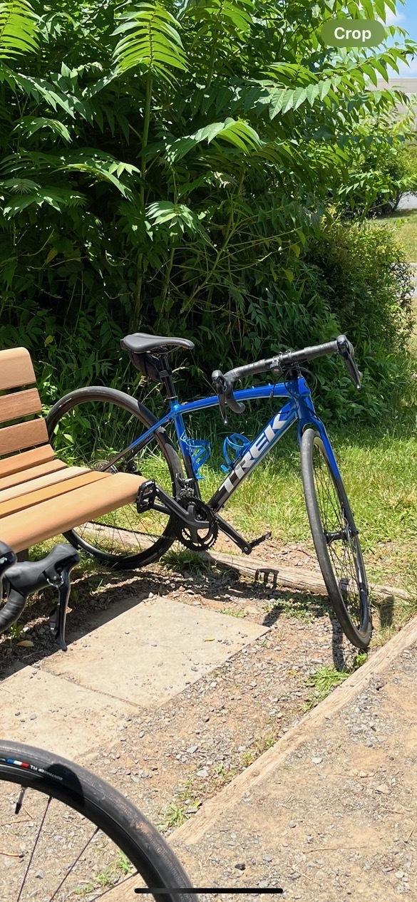 2023 Trek DOMANE AL 3 Blue