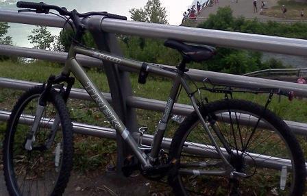 2006 Trek 3900  Black