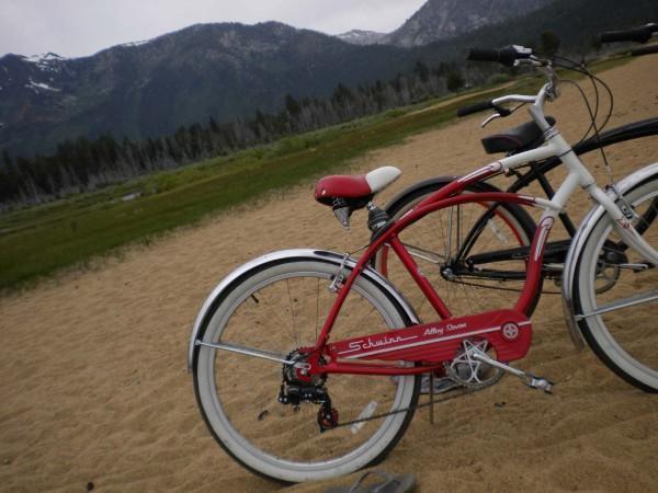 2008 Schwinn alloy seven  Black