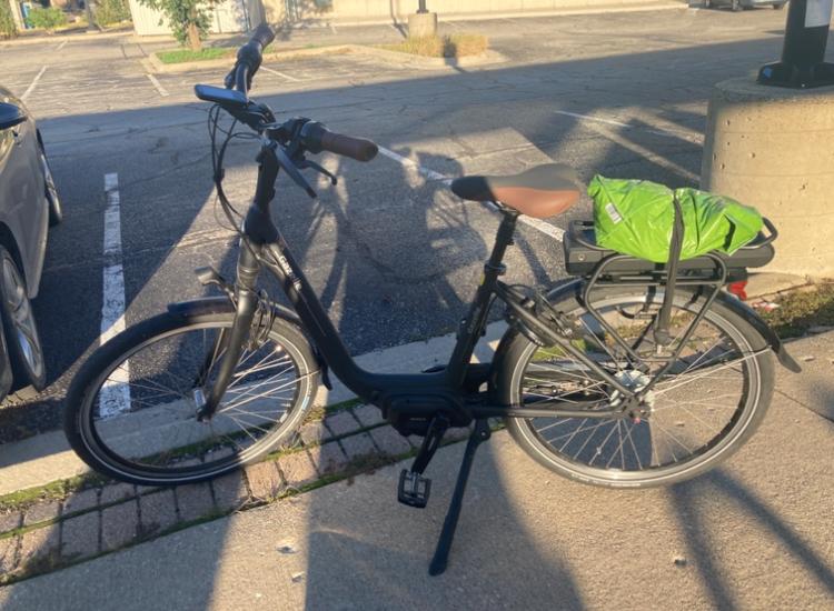 2018 Gazelle EasyFlow Black