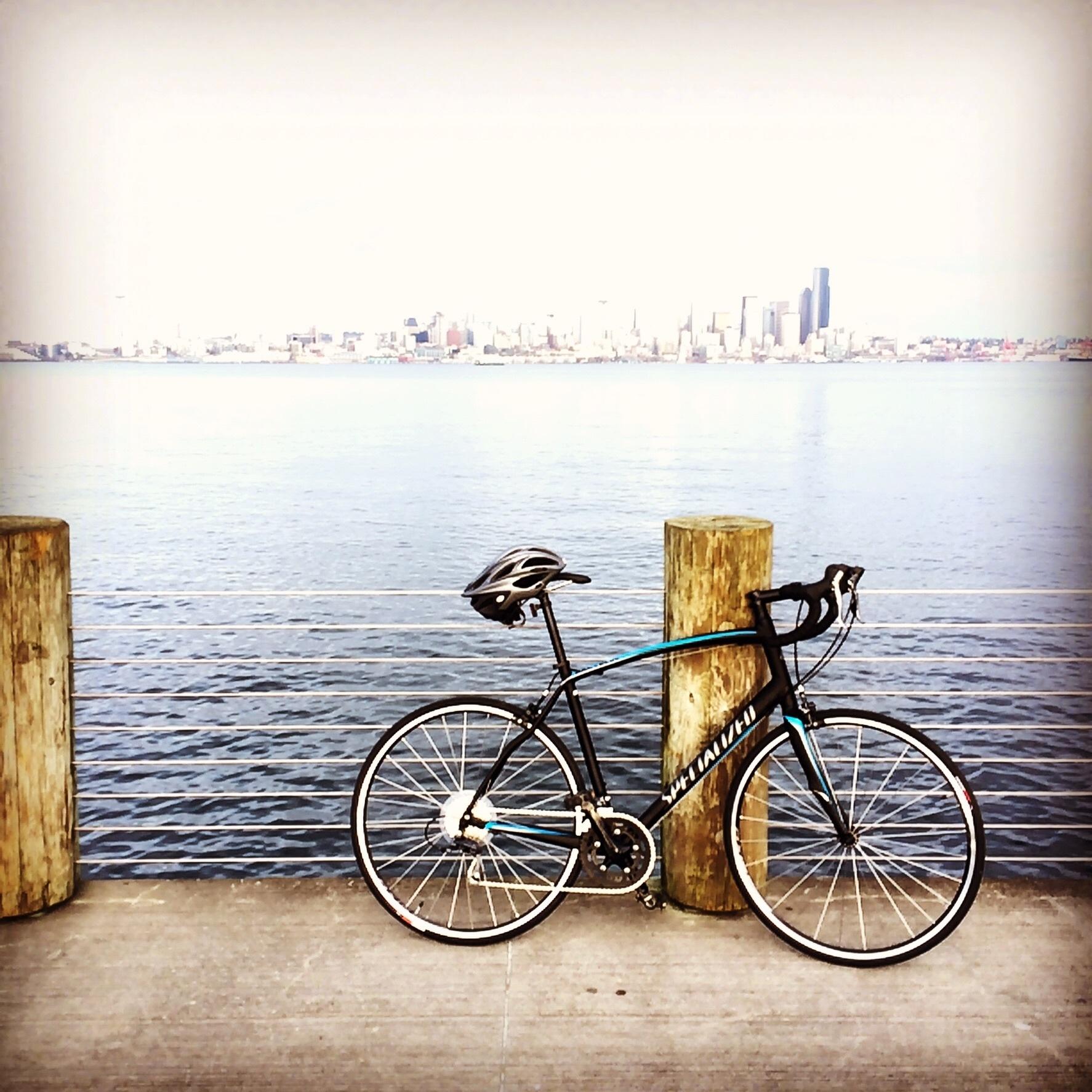 Specialized Secteur  Black and Blue