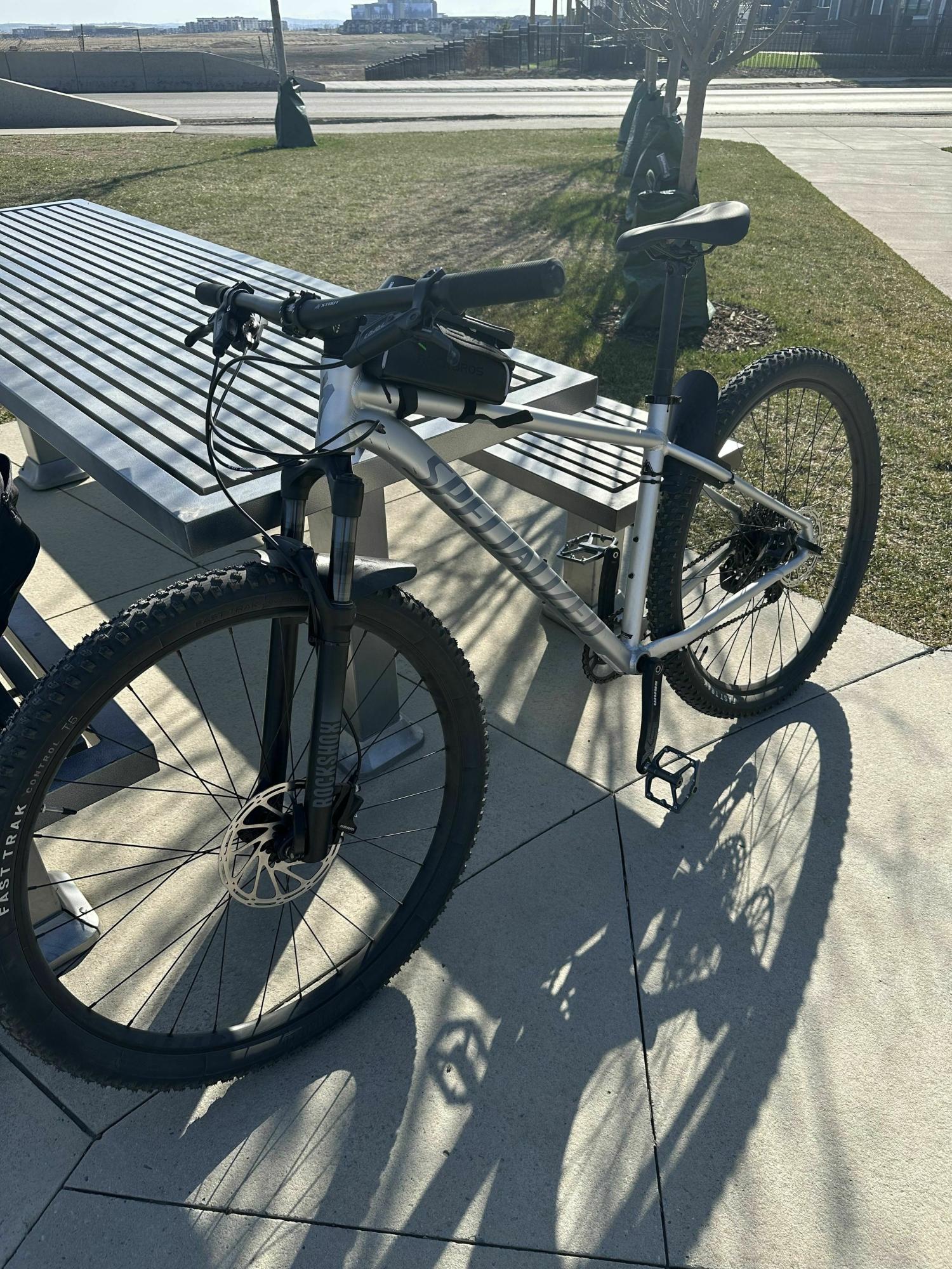 2022 Specialized Rockhopper Expert 29 Silver, gray or bare metal