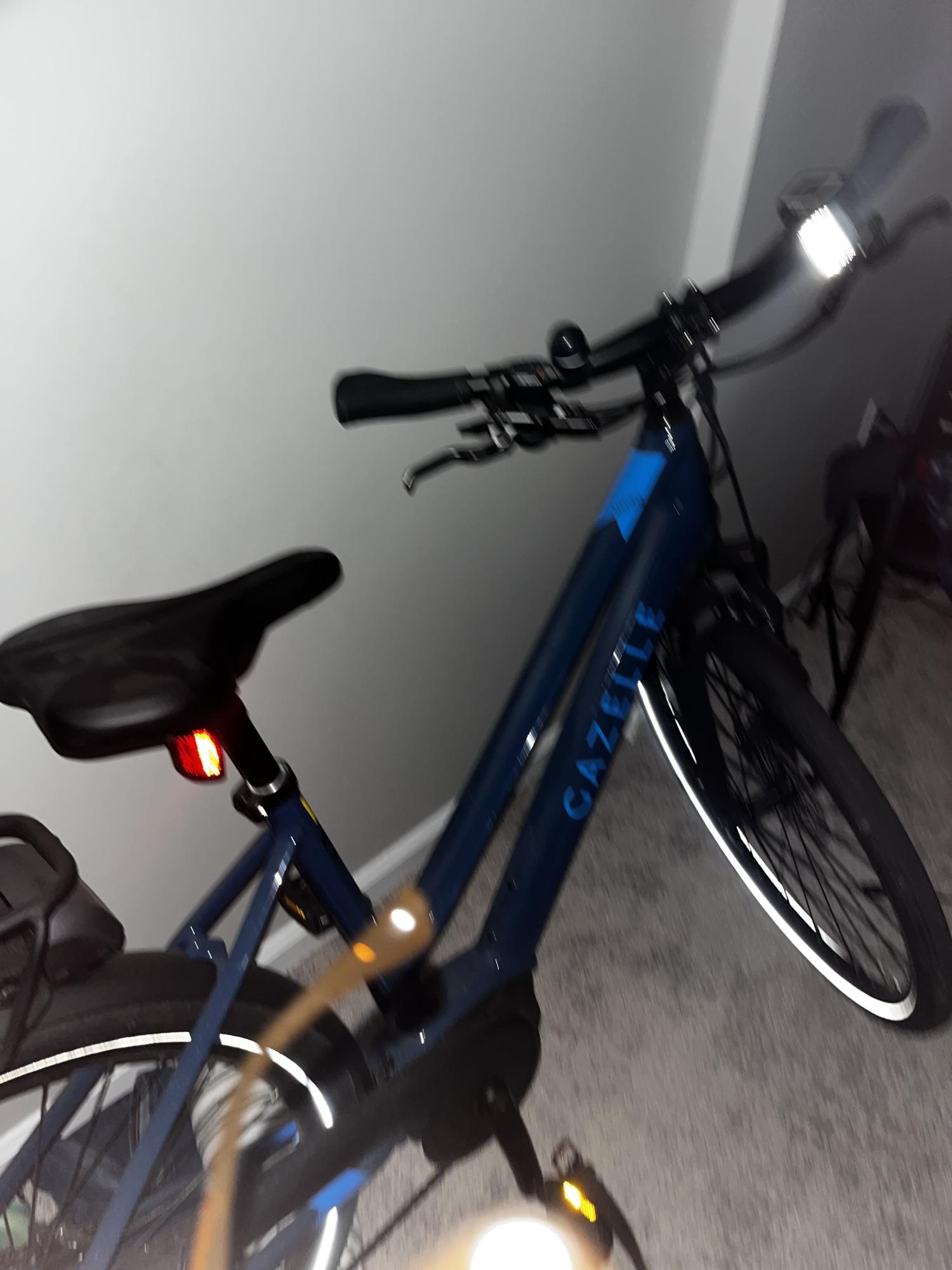 2021 Gazelle Madeo T9 Blue