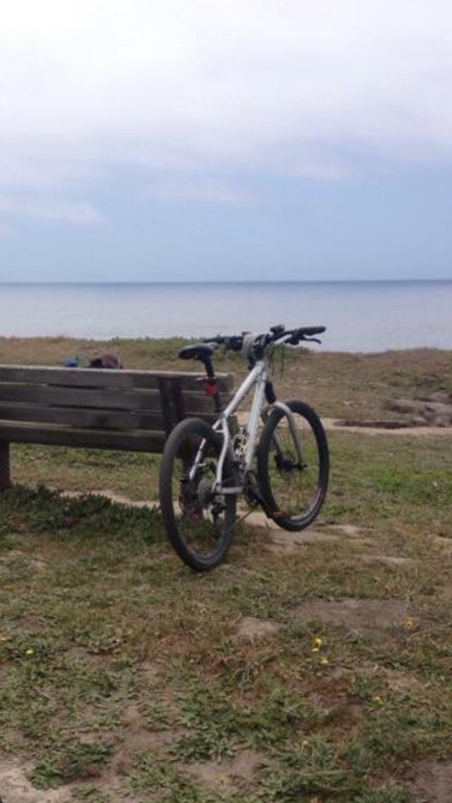 2008 Cannondale F4 Silver or Gray