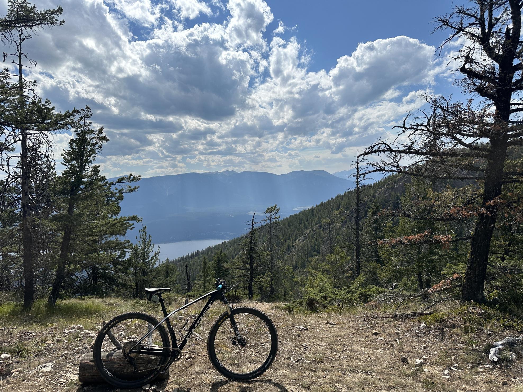 Ghost Lector Black and White