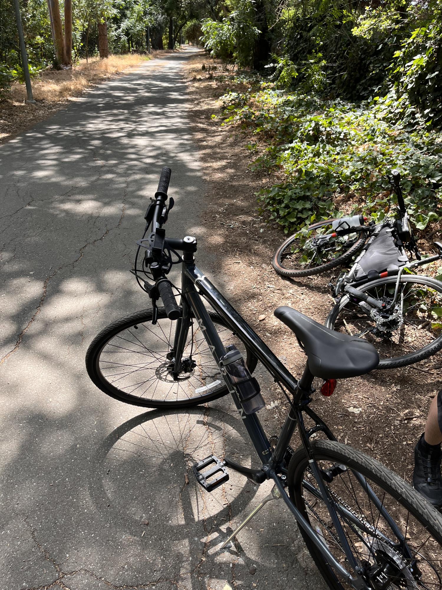 2022 Marin Bikes Presidio 1 Blue