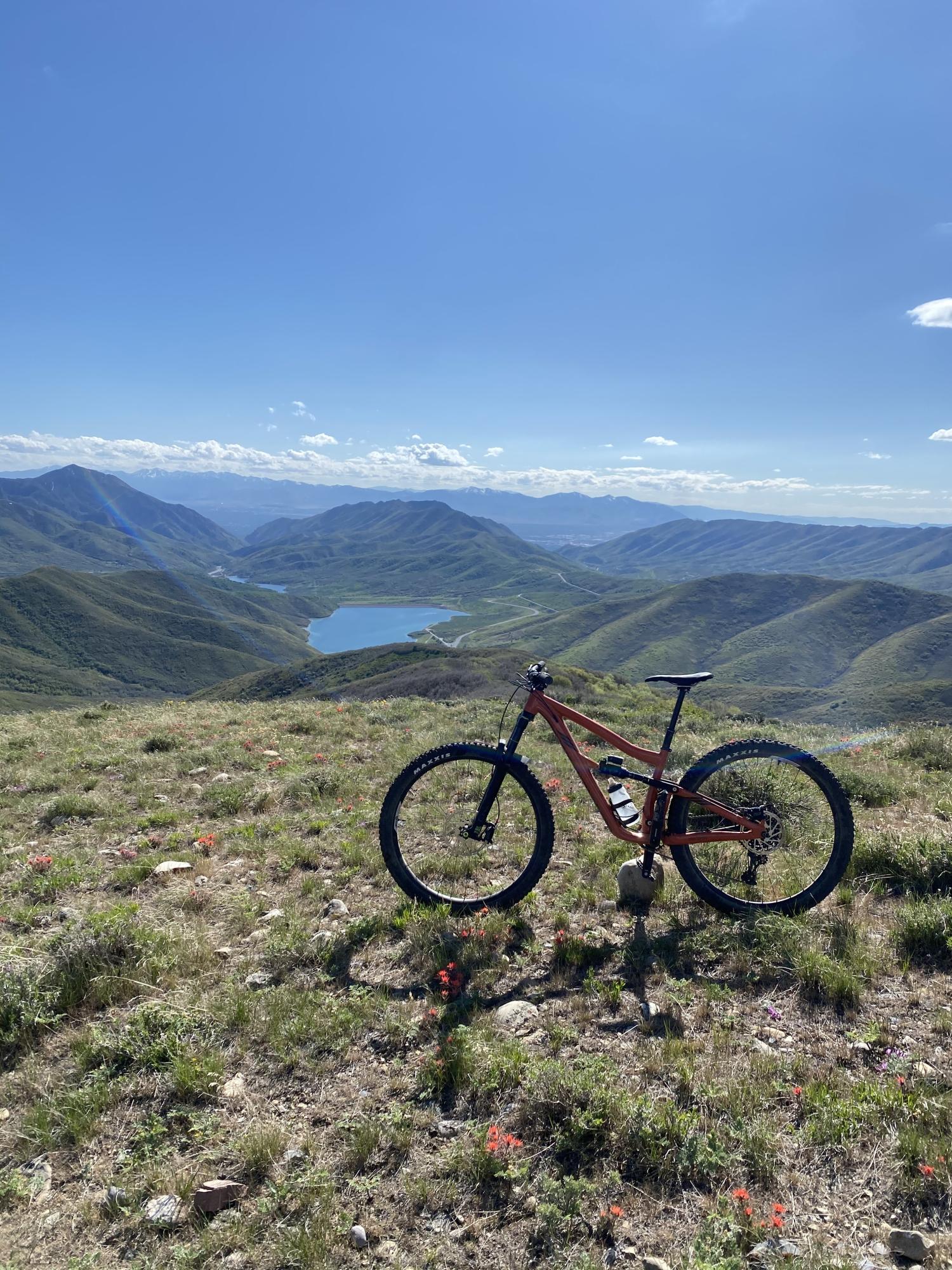 2020 Ibis Ripmo af Orange