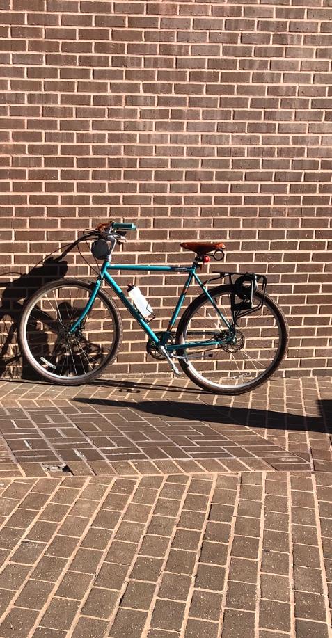 Raleigh Preston Teal