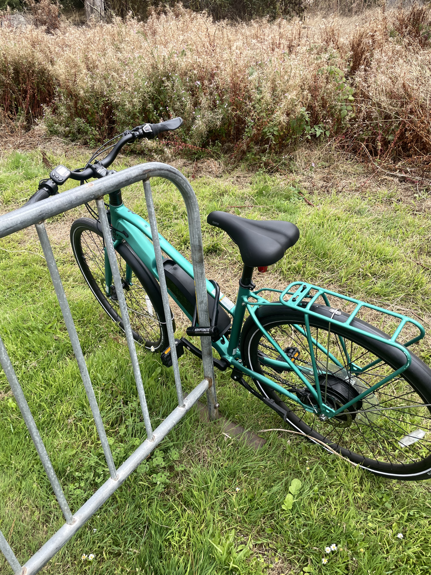 Charge City Low Step Green