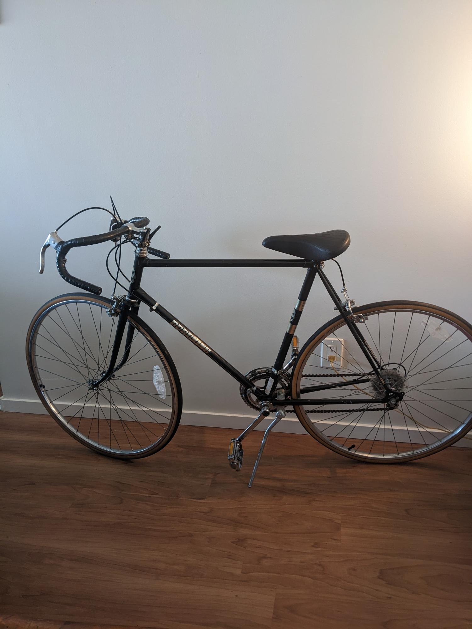 Eaton RoadKing Black and Silver, gray or bare metal