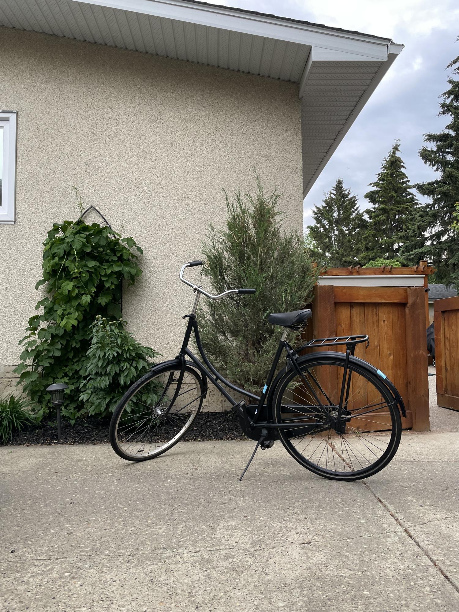 Unknown Omafiets Black