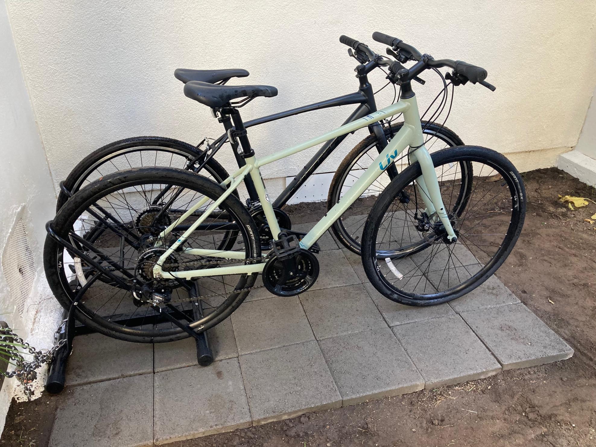 2022 Giant Alight 3 DD Disc M Desert Sage Green