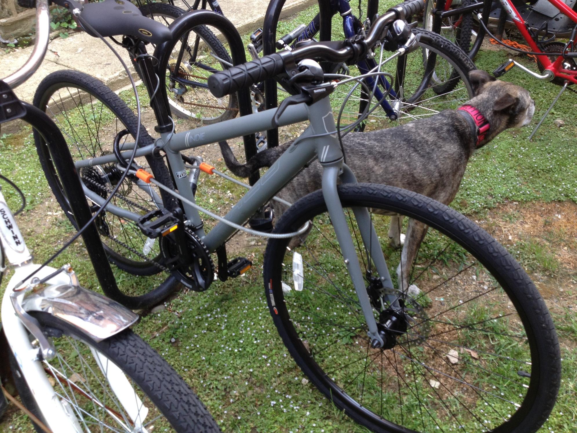 2013 Giant Indie 4  Silver or Gray