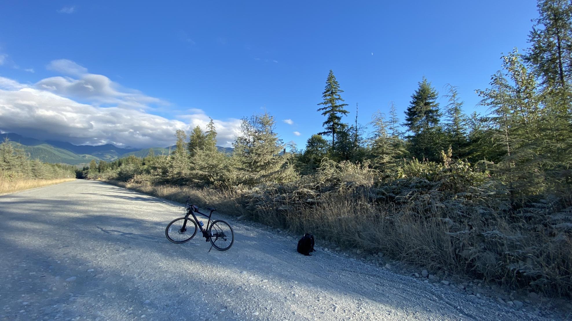 2022 Cannondale Quick CX Black