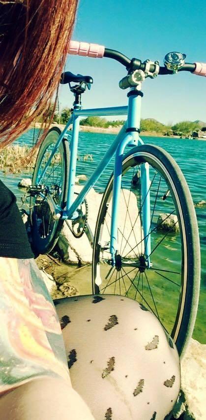 2015 Pure Fix  Blue