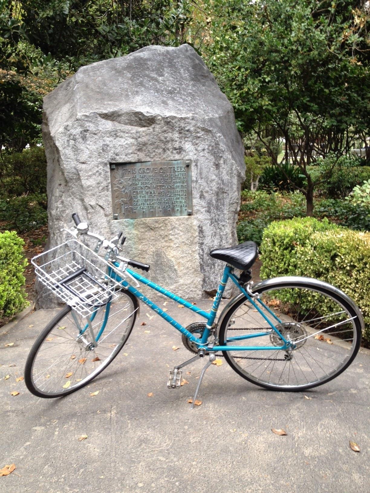 Fuji sports 10  Teal