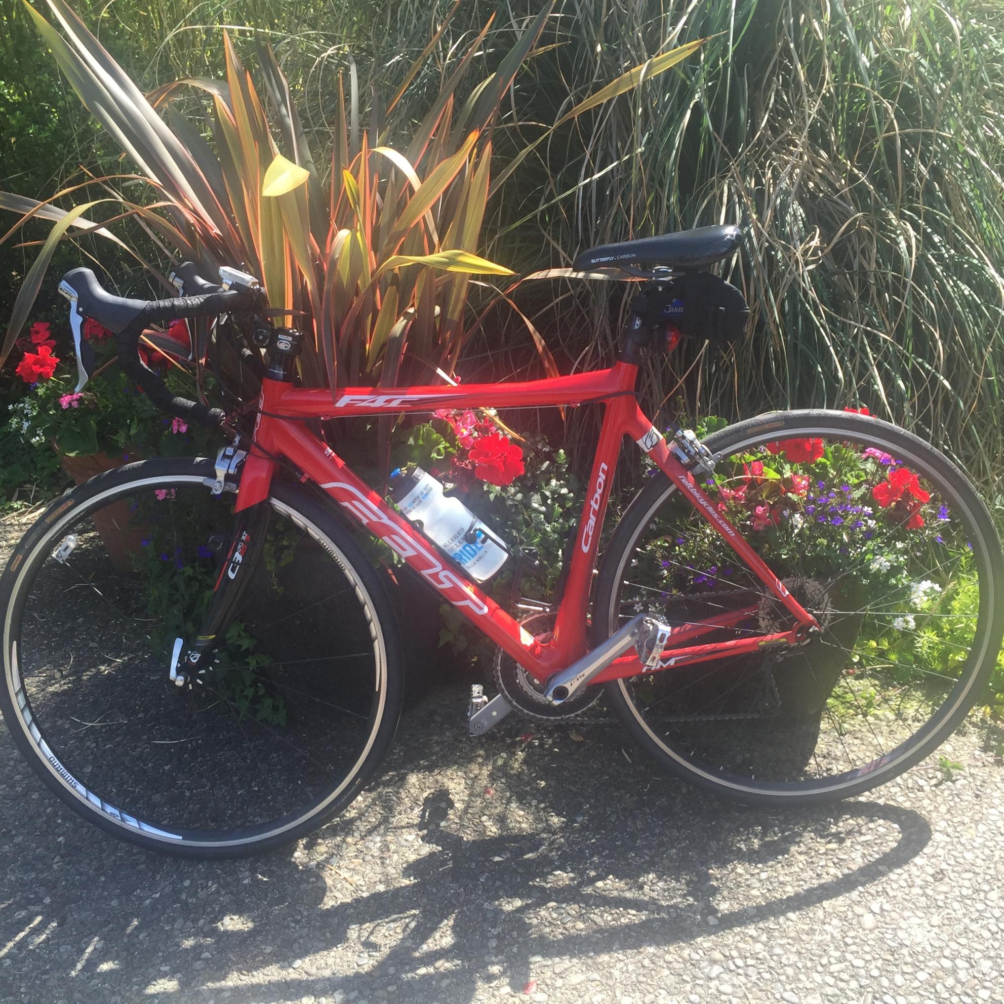 2010 Felt road bike carbon Red