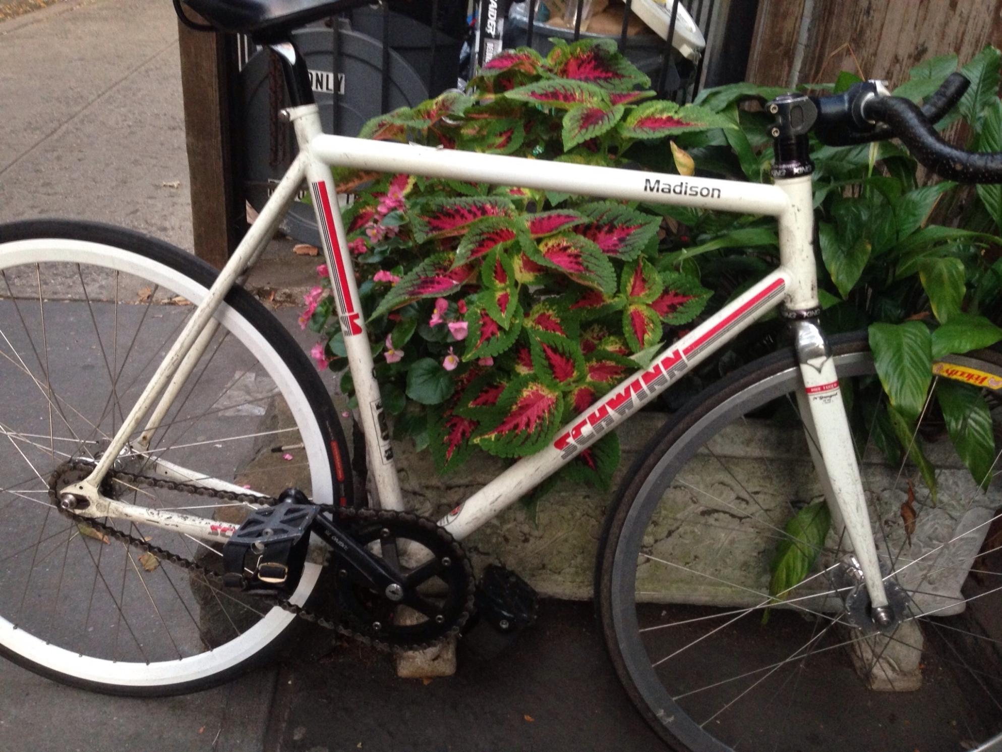 2007 Schwinn Madison  White