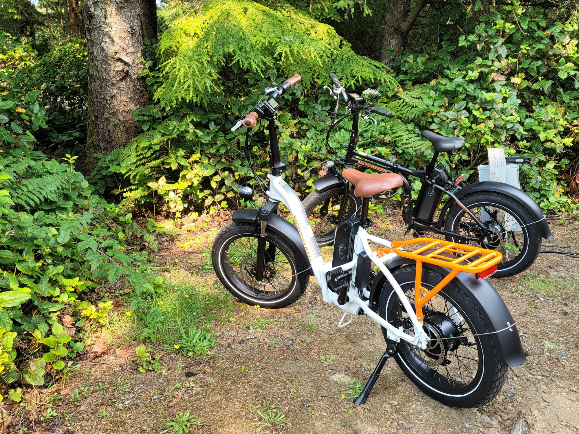 2021 Rad Power Bikes Mini Black