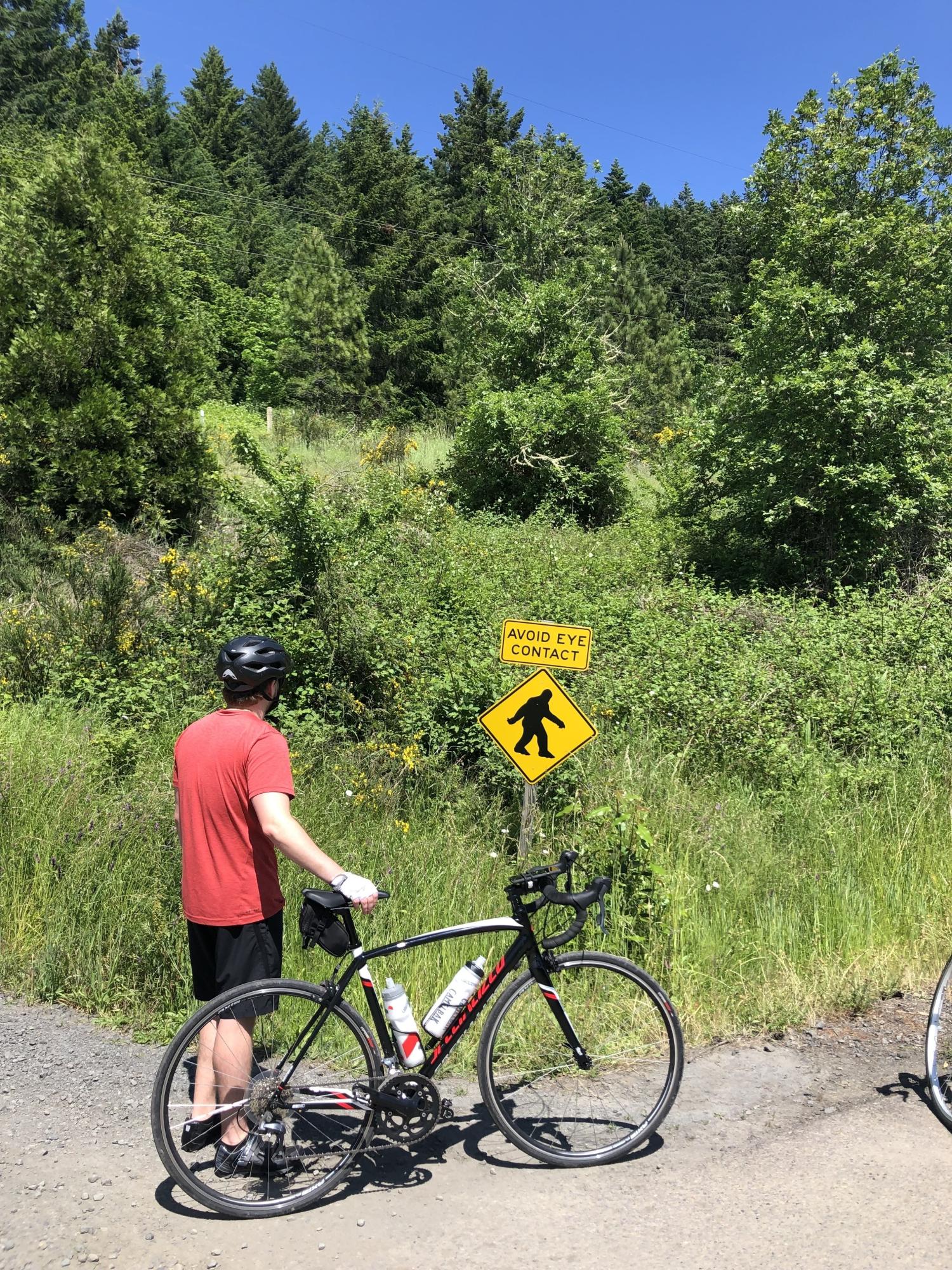 2017 Specialized Black, White, and Red