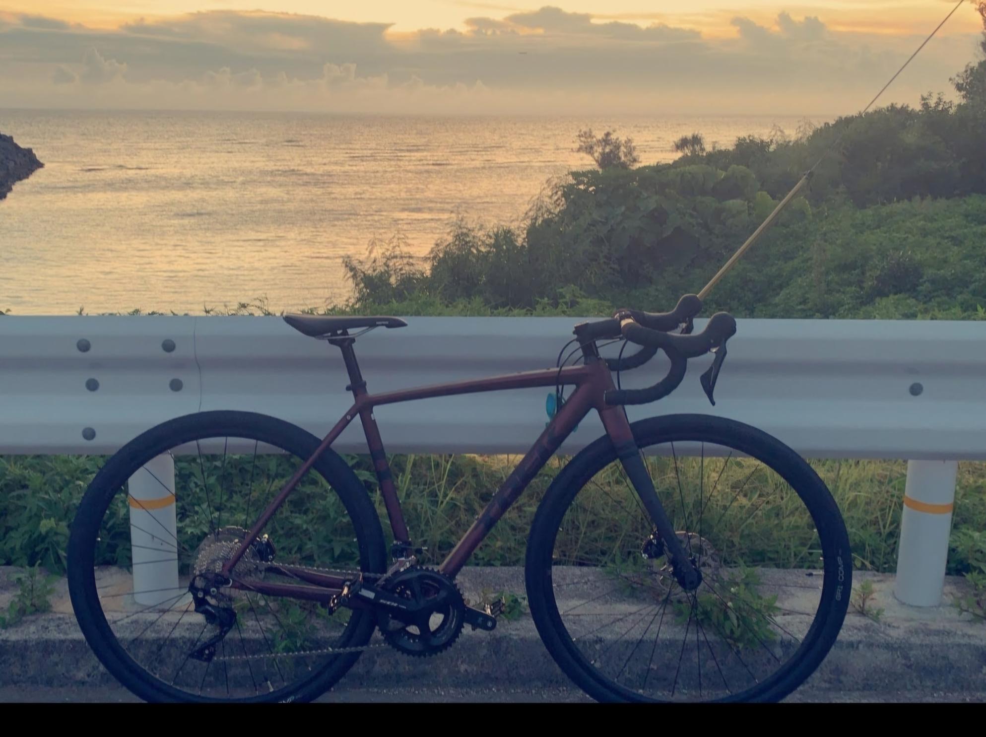 2020 Trek Check point alr5 Orange