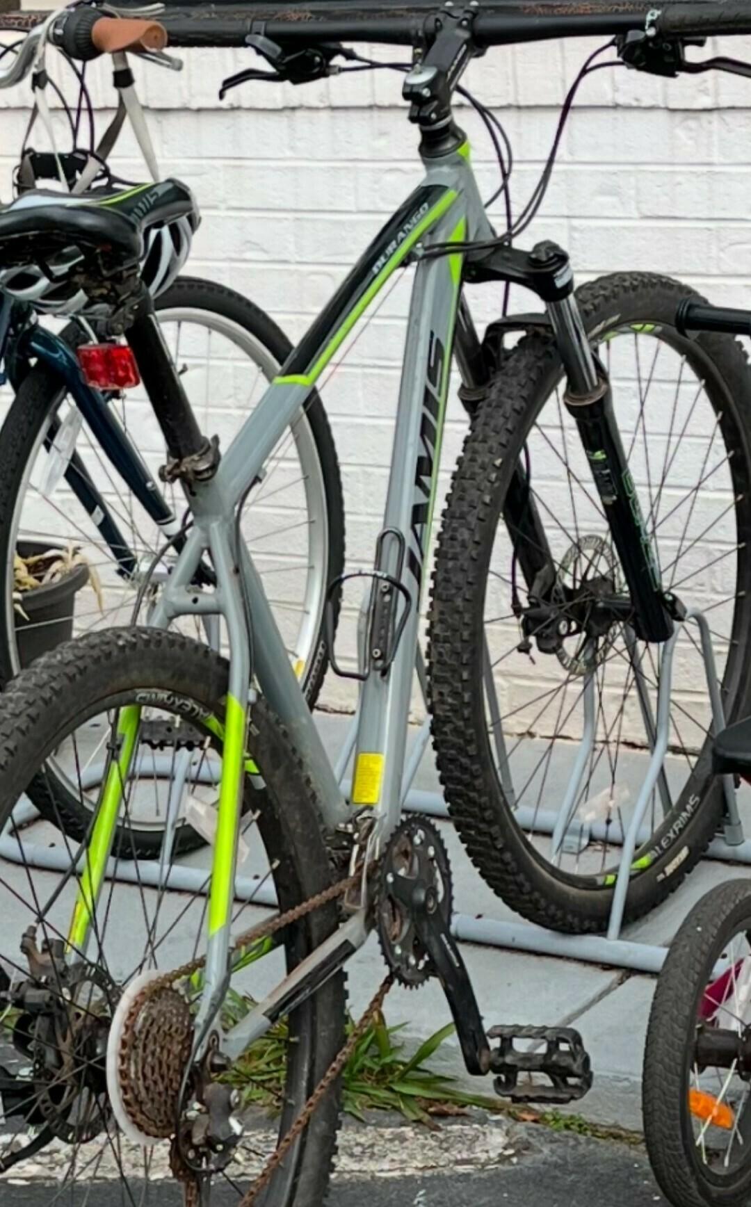 Jamis Durango 29 Sport Silver, gray or bare metal