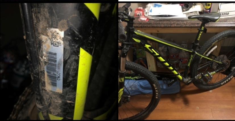 SCOTT Scale Black and Green