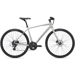 2020 Giant Escape 2 Disc Silver, gray or bare metal