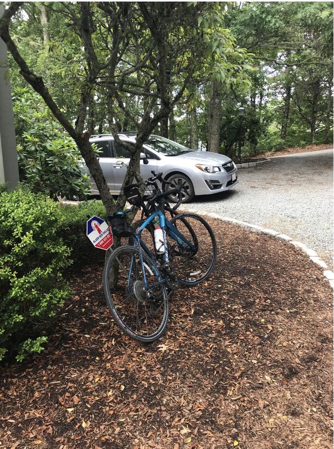 2017 Raleigh Revere 3 Blue