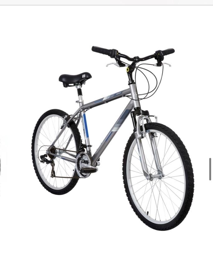 Nishiki Tamarack Silver, gray or bare metal and Blue