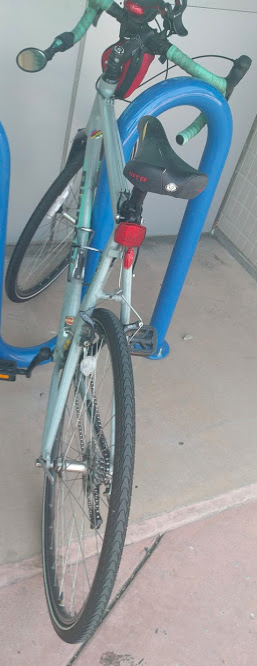 Bianchi Silver or Gray