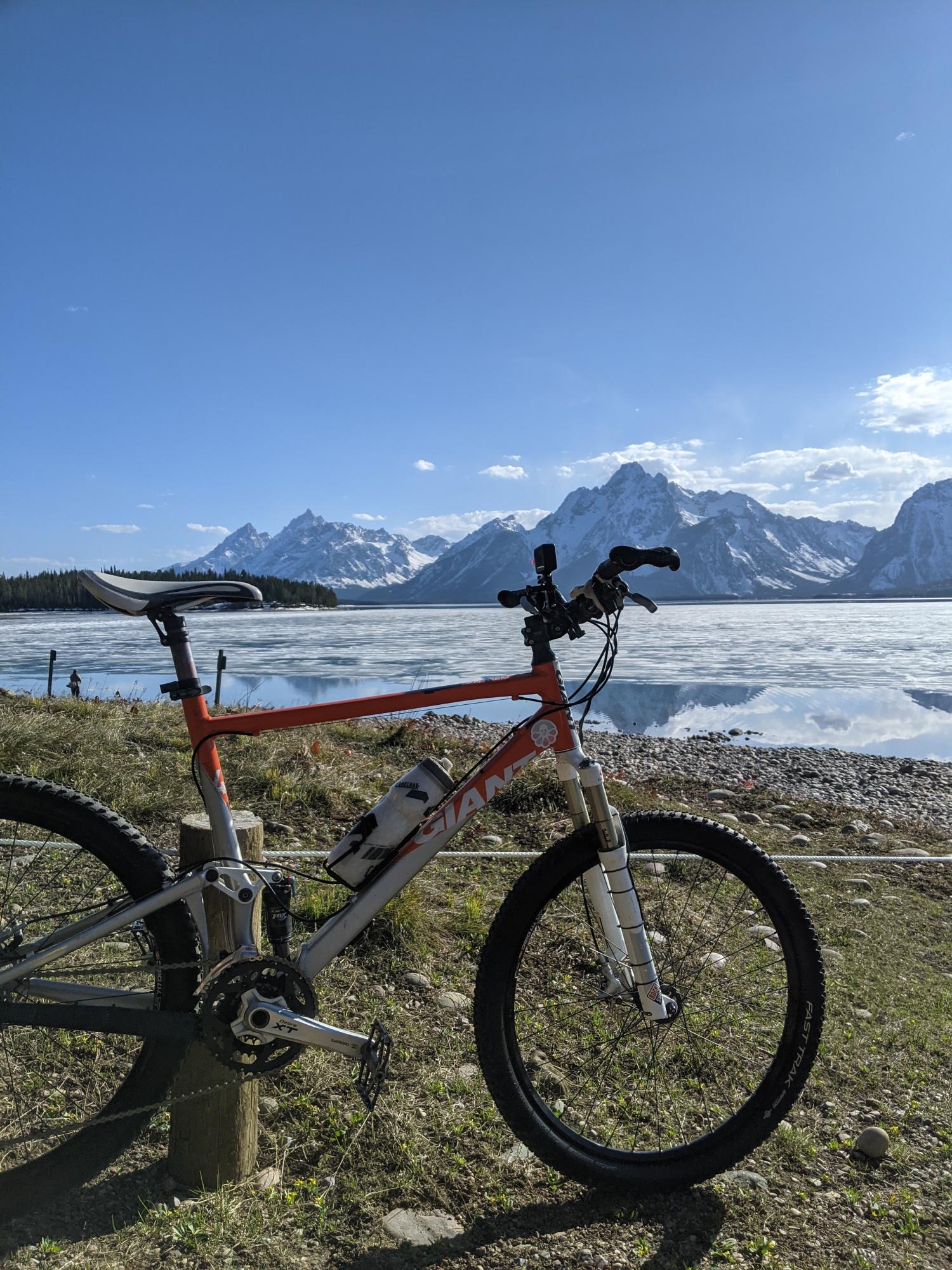 Giant Anthem w Orange and White