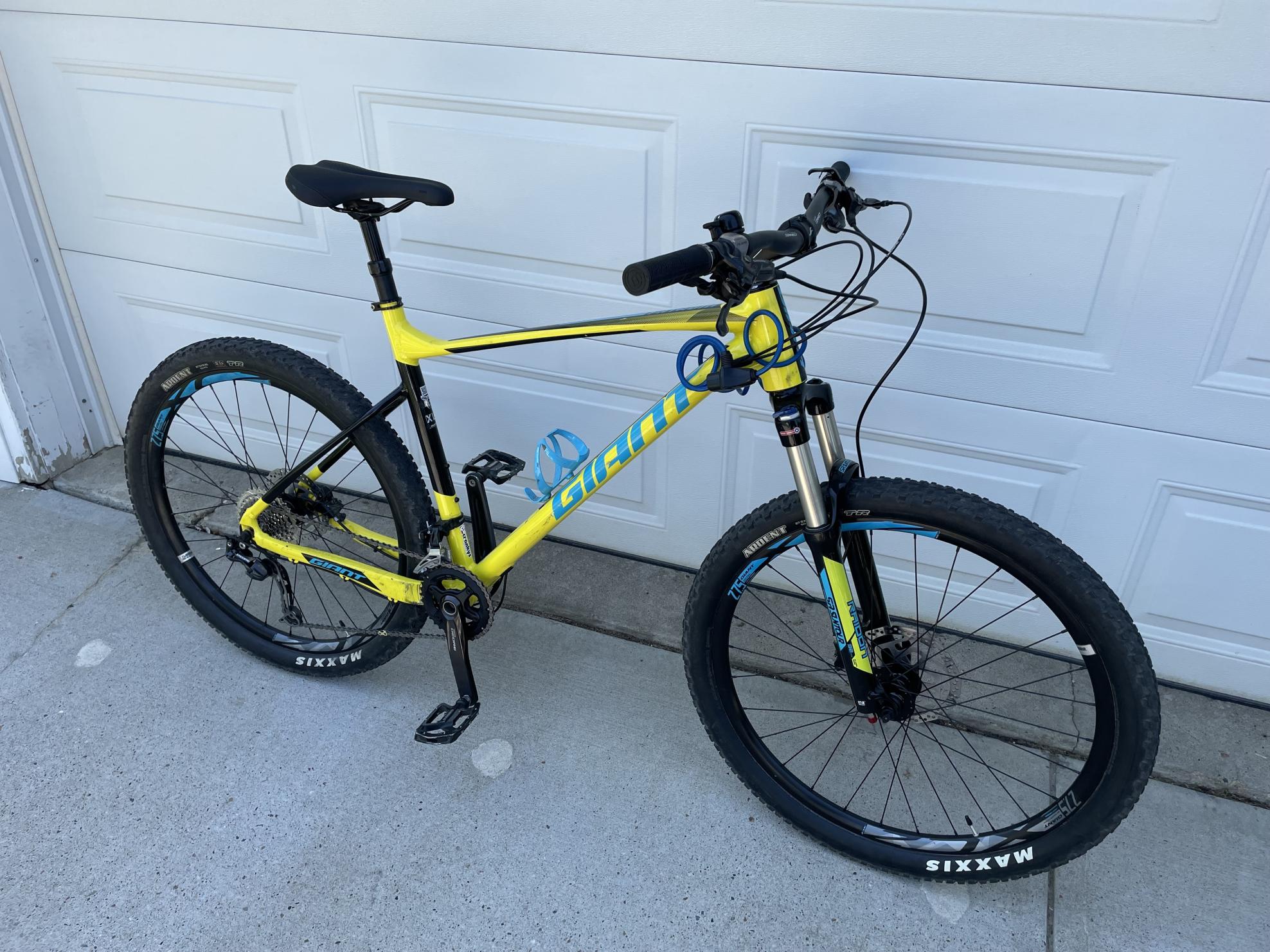 Giant Yellow or Gold and Blue