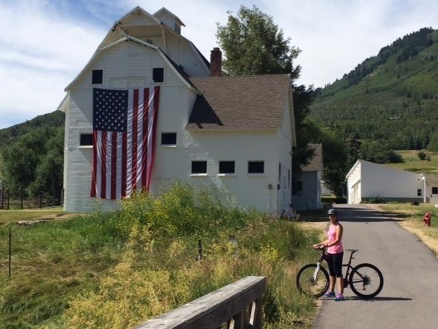 2015 Giant Liv Tempt 4 Purple