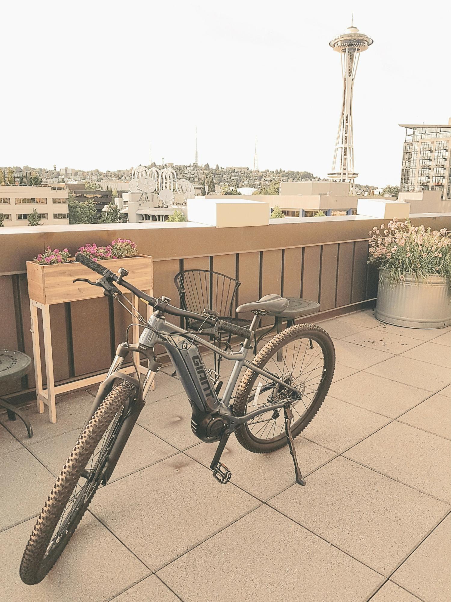 2022 Giant E 3+ (29