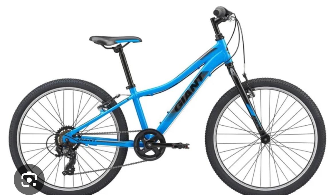 2019 Giant XTC Jr 24 Blue