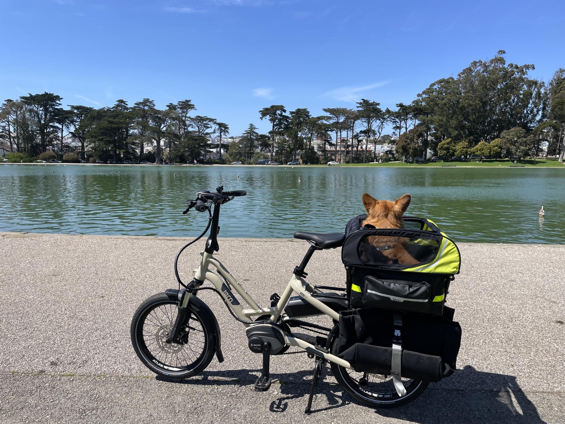 2021 Tern HSD P9 Brown