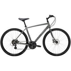 Trek Verve 1 Silver, gray or bare metal