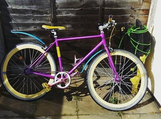 2016 No logo Purple and Yellow or Gold