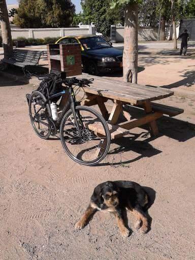 2015 Specialized Sirrus Elite Carbon Black