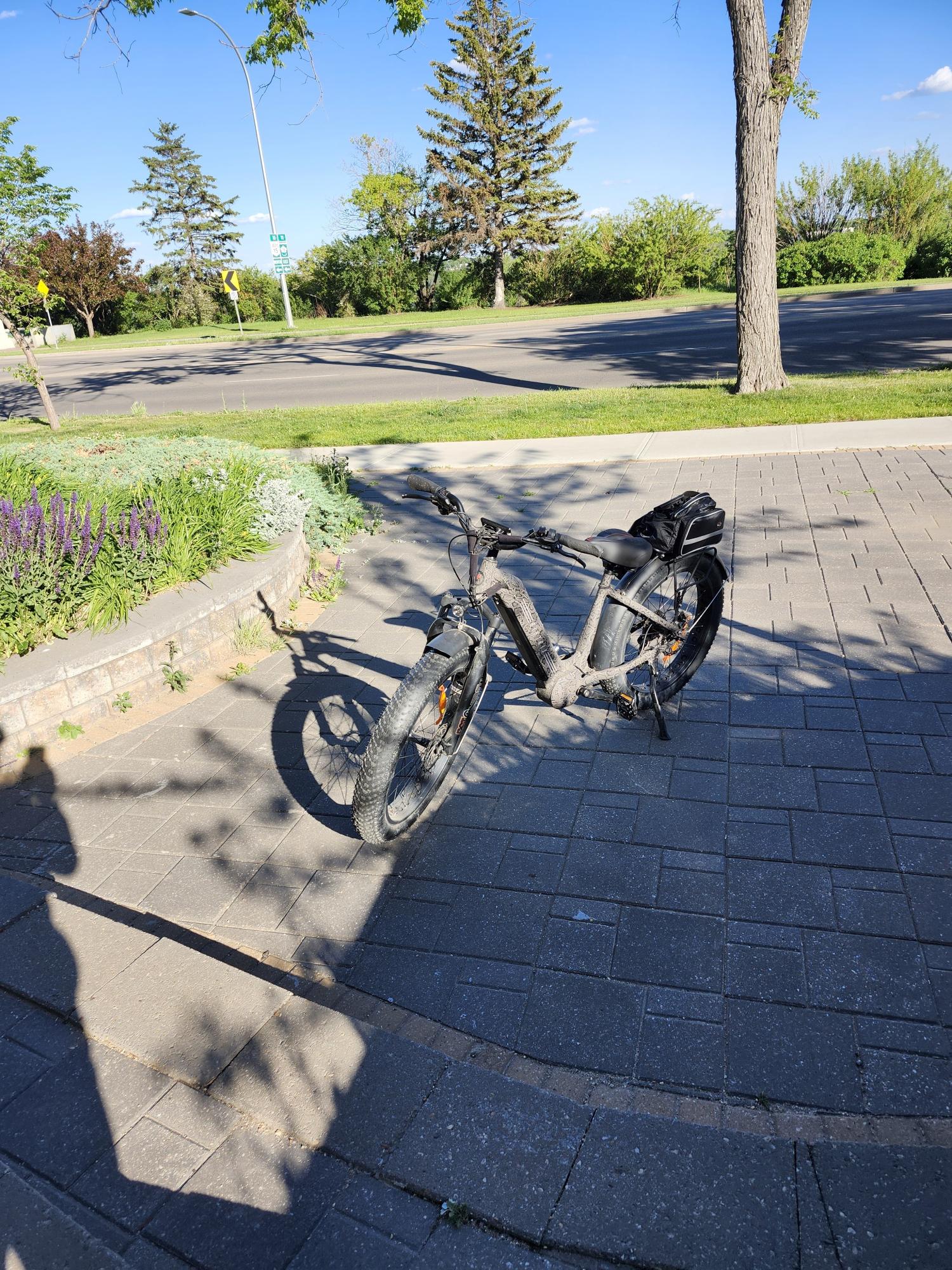 2023 Lectric eBikes Step through Silver, gray or bare metal and Black