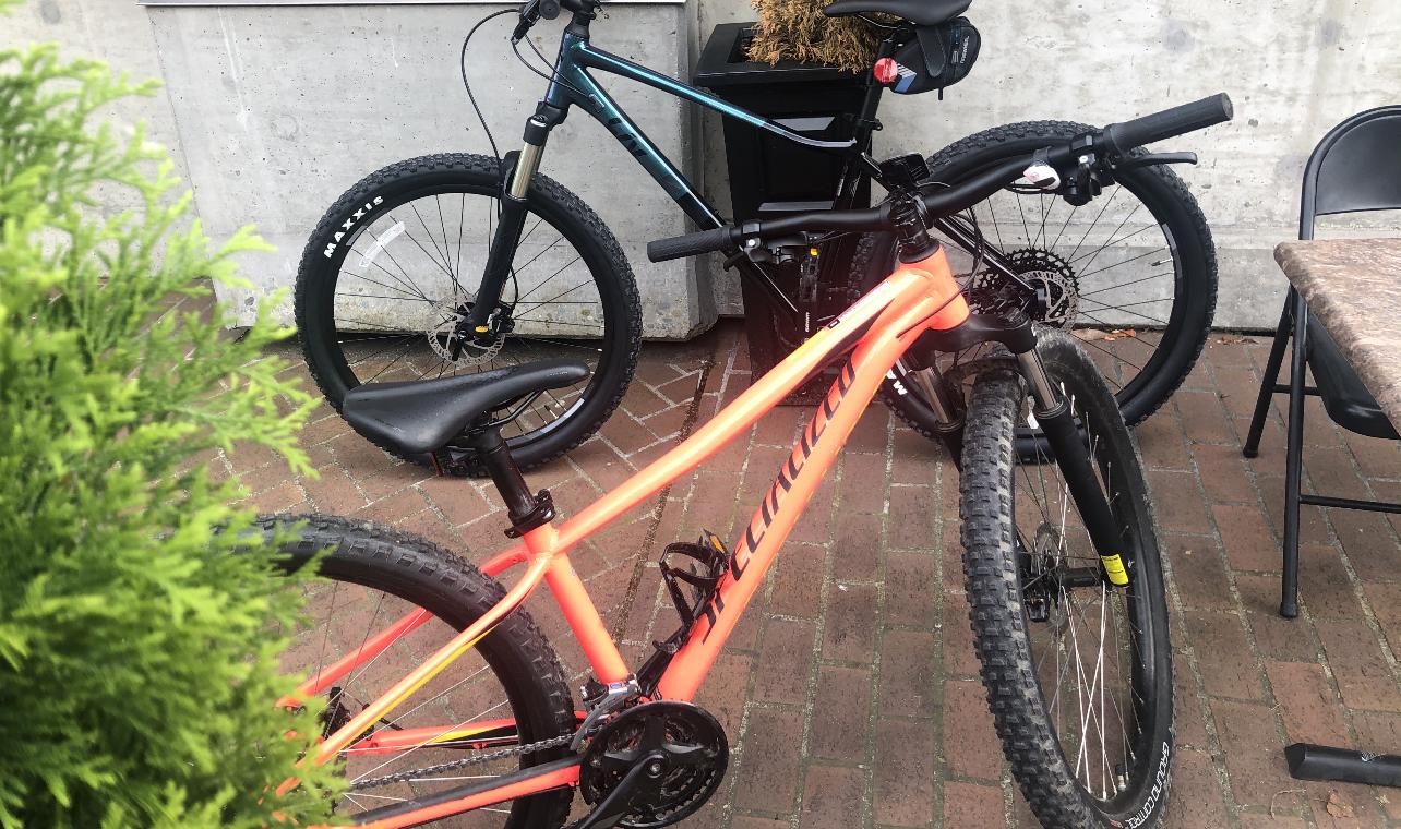 2020 Specialized Orange