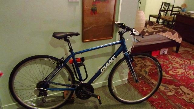 2013 Giant Escape 1  Blue