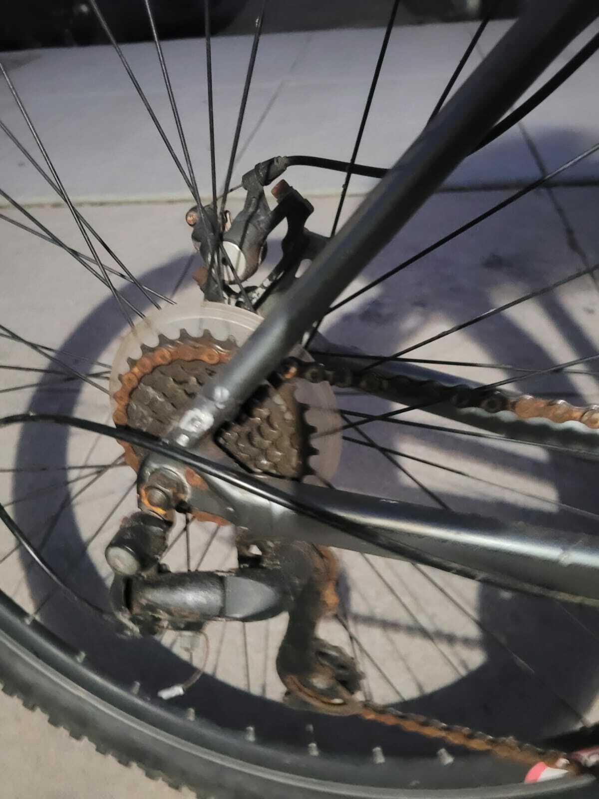 Specialized Crossroads A1 Sport Silver, gray or bare metal