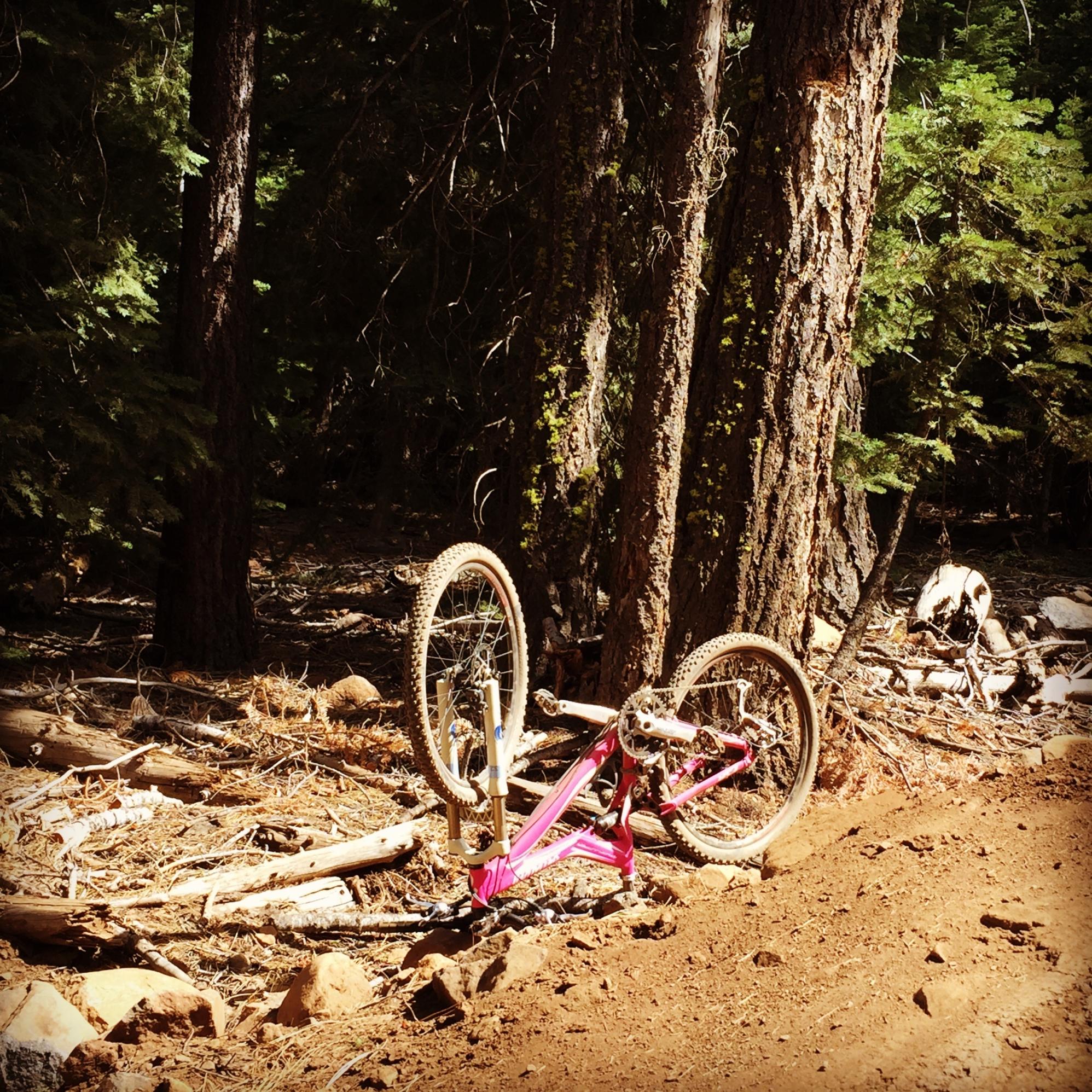 2008 Specialized Stumpjumper Pink