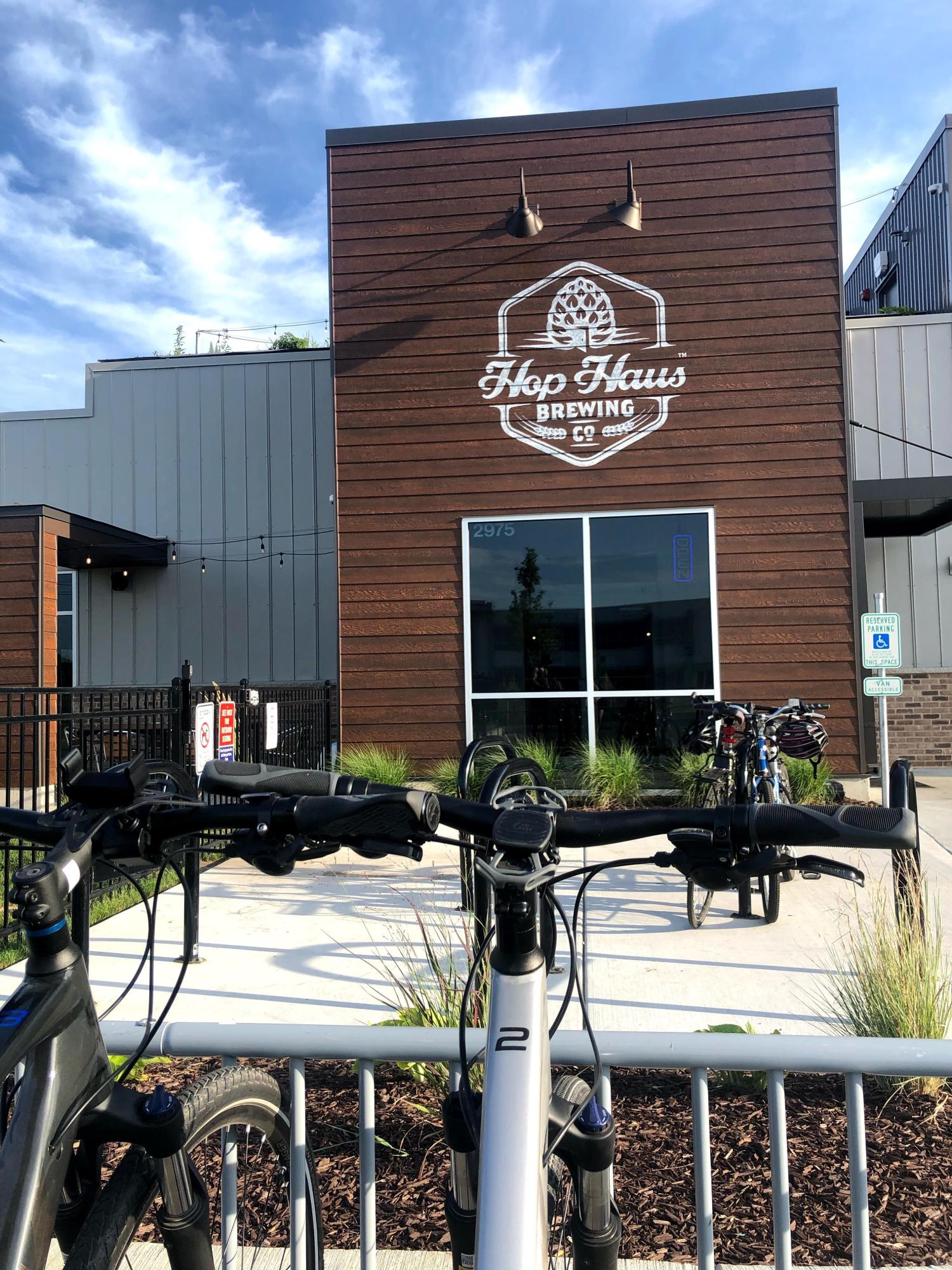 2021 Trek Dual Sport 3 Silver, gray or bare metal