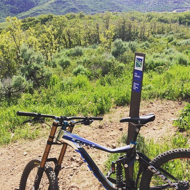 2013 Giant Glory 0 Silver or Gray