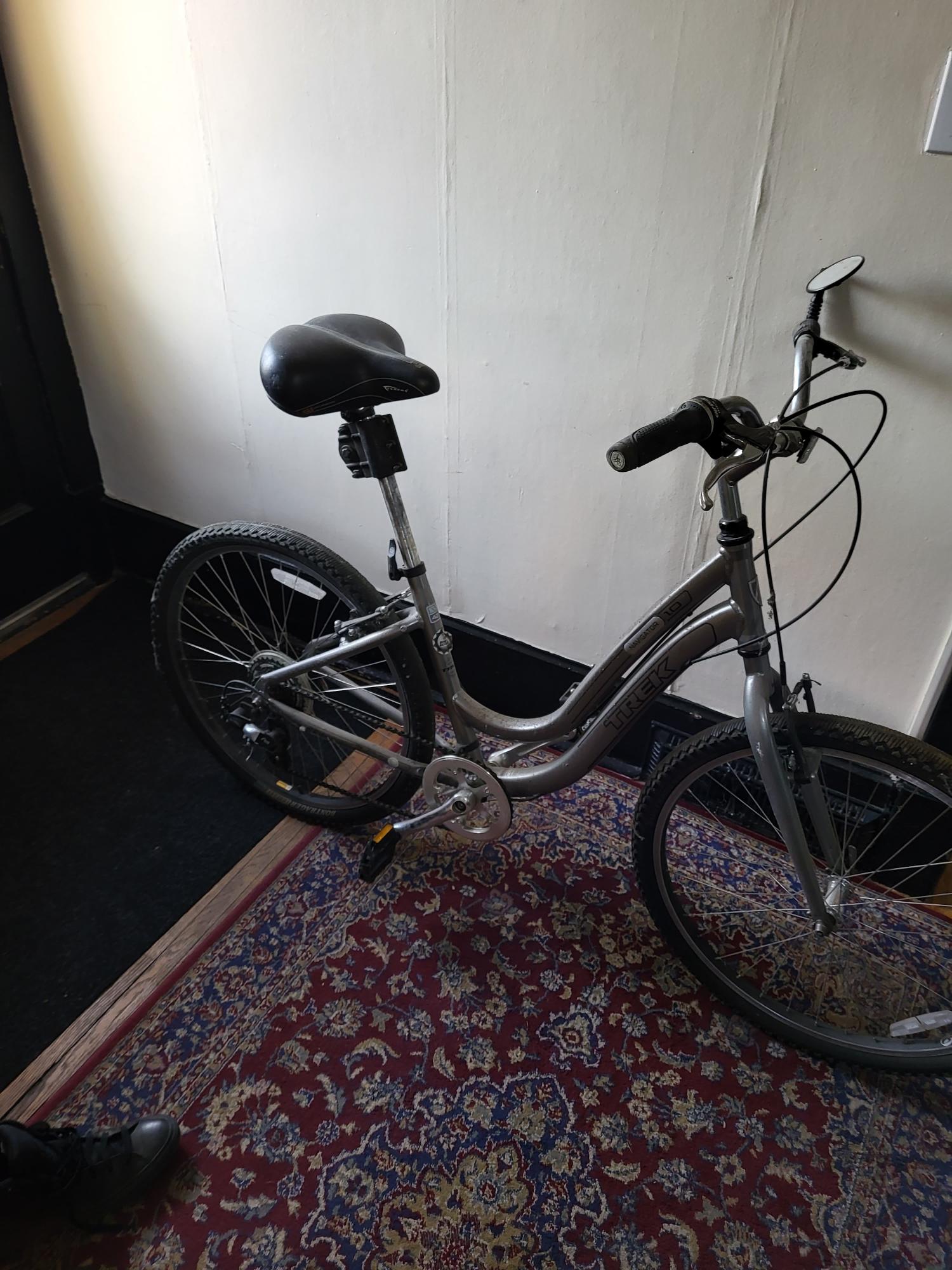 2023 Trek Silver, gray or bare metal